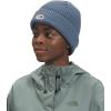 imageTHE NORTH FACE BeanieIndigo