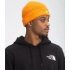 imageTHE NORTH FACE BeanieOrange