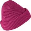 imageTHE NORTH FACE BeanieRoxbury Pink