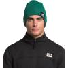 imageTHE NORTH FACE Dock Worker Recycled BeanieEvergreen