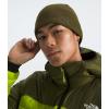 imageTHE NORTH FACE Jim BeanieForest OliveMoss GreenNew Taupe Green Stripe