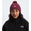 imageTHE NORTH FACE Womens Cozy Chunky Cabin BeanieBeetrootMauveMidnight MauveWhite Dune