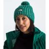 imageTHE NORTH FACE Womens Cozy Chunky Cabin BeanieEvergreenMuted PinePale GreenOxidized Bronze