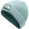 imageTHE NORTH FACE BeanieWindmill Blue