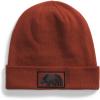 imageTHE NORTH FACE Dock Worker Recycled BeanieBrandy BrownBear Graphic