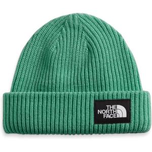 imageTHE NORTH FACE BeanieDeep Grass Green