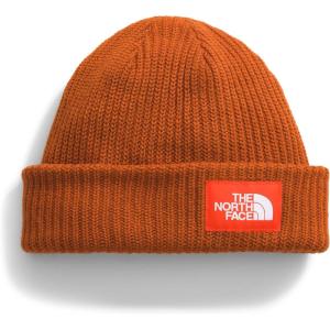imageTHE NORTH FACE BeanieEarthen CopperTnf Orange