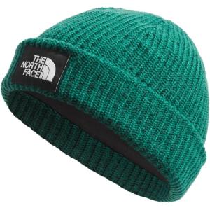 imageTHE NORTH FACE BeanieEvergreen