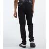 imageTHE NORTH FACE Boys Never Stop PantTnf Black