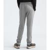 imageTHE NORTH FACE Boys Never Stop PantTnf Medium Grey HeatherTnf Medium Grey Heather