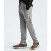 imageTHE NORTH FACE Boys Never Stop PantTnf Medium Grey HeatherTnf Medium Grey Heather