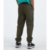 imageTHE NORTH FACE Boys On The Trail PantNew Taupe Green