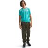 imageTHE NORTH FACE Boys On The Trail PantNew Taupe Green