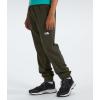 imageTHE NORTH FACE Boys On The Trail PantNew Taupe Green