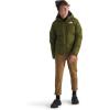 imageTHE NORTH FACE Boys Reversible North Down Hooded JacketForest Olive