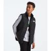 imageTHE NORTH FACE Boys Reversible Shasta VestTnf Black