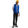 imageTHE NORTH FACE Boys Reversible Shasta VestTnf Blue