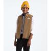imageTHE NORTH FACE Boys Reversible Shasta VestTnf Blue
