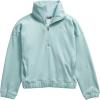 imageTHE NORTH FACE Girls Camp Fleece 14 ZipMuted Pine