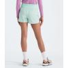 imageTHE NORTH FACE Girls Never Stop Woven ShortCrater Aqua
