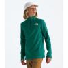 imageTHE NORTH FACE Teen Glacier  Zip PulloverEvergreen
