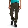 imageTHE NORTH FACE Boys On The Trail PantNew Taupe Green
