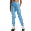 imageTHE NORTH FACE Girls On The Trail PantDark Cornflower