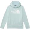 imageTHE NORTH FACE Womens Teen Half Dome Camp Fleece Pullover Hoodie Little Big KidMuted Pine