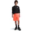 imageTHE NORTH FACE Boys Never Stop Knit Training ShortVivid Flame