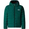 imageTHE NORTH FACE Boys Reversible Perrito Hooded JacketEvergreen