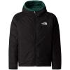 imageTHE NORTH FACE Boys Reversible Perrito Hooded JacketEvergreen