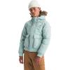 imageTHE NORTH FACE Boys Teen McMurdo Hooded Jacket Little Big KidMuted Pine