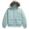 imageTHE NORTH FACE Boys Teen McMurdo Hooded Jacket Little Big KidMuted Pine