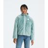 imageTHE NORTH FACE Girls Reversible Shasta Full Zip JacketMuted Pine