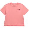 imageTHE NORTH FACE Girls Simple Logo ShortSleeve TeeTerracotta