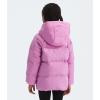 imageTHE NORTH FACE Kids North Down FleeceLined ParkaDragonfruit