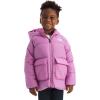 imageTHE NORTH FACE Kids North Down FleeceLined ParkaDragonfruit