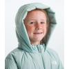 imageTHE NORTH FACE Kids North Down FleeceLined ParkaMuted Pine