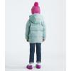 imageTHE NORTH FACE Kids North Down FleeceLined ParkaMuted Pine