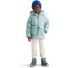 imageTHE NORTH FACE Kids North Down FleeceLined ParkaMuted Pine