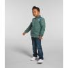 imageTHE NORTH FACE Kids North Down TriclimateDark Sage