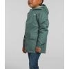 imageTHE NORTH FACE Kids North Down TriclimateDark Sage