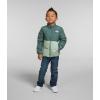 imageTHE NORTH FACE Kids North Down TriclimateDark Sage