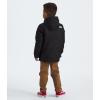 imageTHE NORTH FACE Kids North Down TriclimateTnf BlackForest Olive