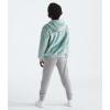 imageTHE NORTH FACE Kids Osito Full Zip HoodieMuted Pine