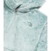 imageTHE NORTH FACE Kids Osito Full Zip HoodieMuted Pine