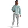 imageTHE NORTH FACE Kids Osito Full Zip HoodieMuted Pine