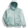 imageTHE NORTH FACE Kids Osito Full Zip HoodieMuted Pine