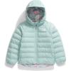 imageTHE NORTH FACE Kids Reversible Perrito Insulated Hooded JacketMuted Pine