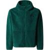 imageTHE NORTH FACE Teen Campshire Full Zip HoodieEvergreen